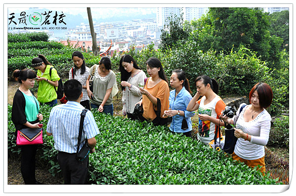 第76期天晟茶艺培训学校中国茶学系统培训班全体学员合照(图1)