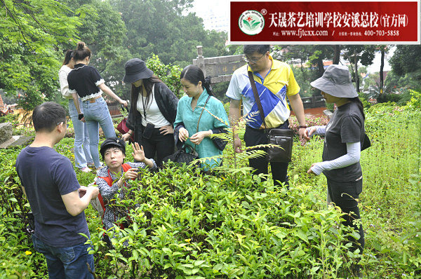 第175期天晟茶艺培训学校中国茶学系统培训班全体学员合照(图4)