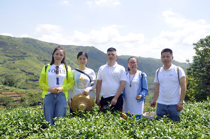 天晟茶艺培训学校，迎来第202期中国茶学系统培训班(图3)