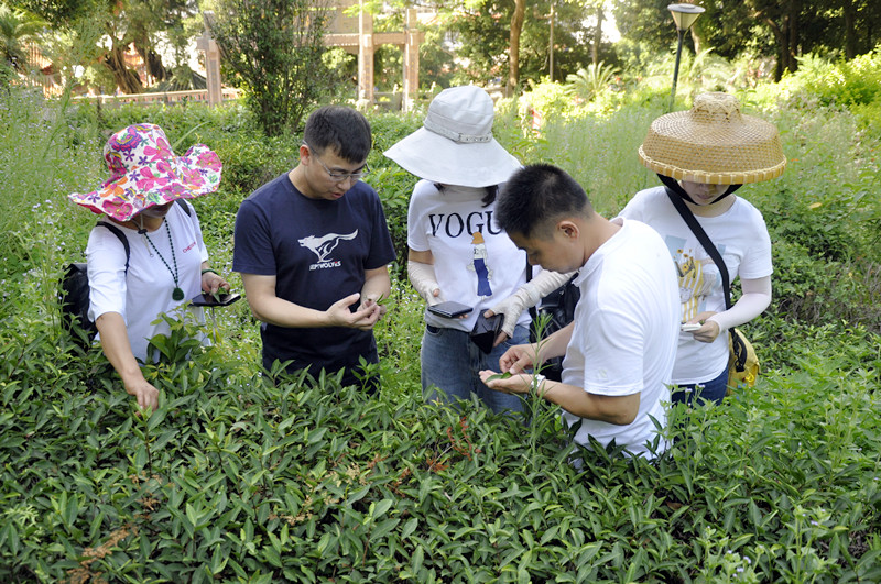 天晟茶艺培训学校中国茶学系统培训班招生简章2025年最新(图1)