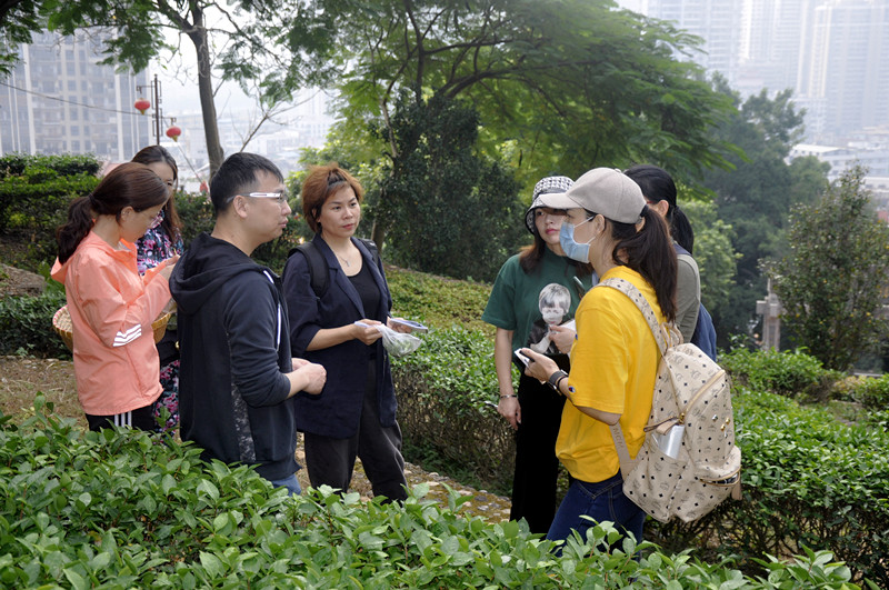 中国最好的茶艺学校(图1)