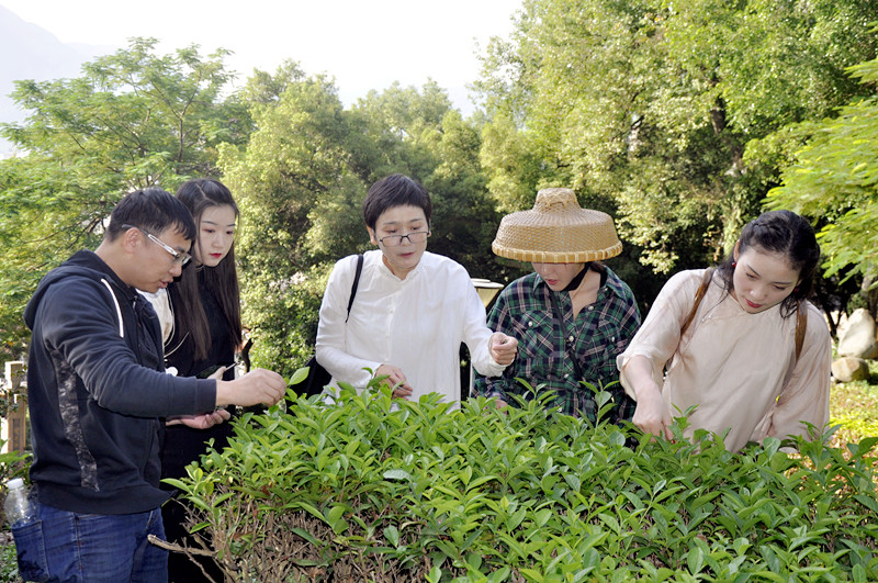 学茶艺哪里有培训，首选天晟茶艺培训学校——2025年中国茶学系统培训班火热报名中(图3)