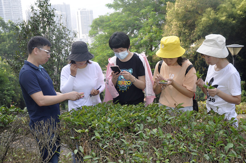 本溪茶艺培训学员问天晟茶艺培训学校：茶艺师培训课程内容有何不同？(图2)