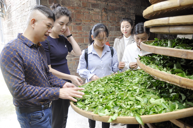 阜新茶艺培训学员问天晟茶艺培训学校：阜新茶艺培训班哪里有？(图1)