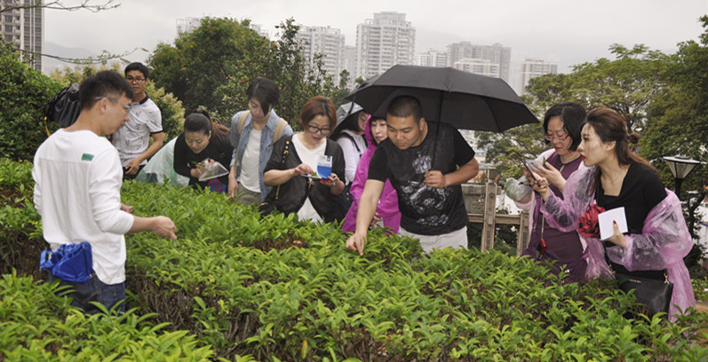 天晟茶艺培训：习茶女子，以艺润心，烹煮岁月里的清雅芬芳(图3)