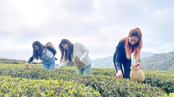 天晟茶艺培训第204期来啦！2月16日开始预约报名咯~(图5)