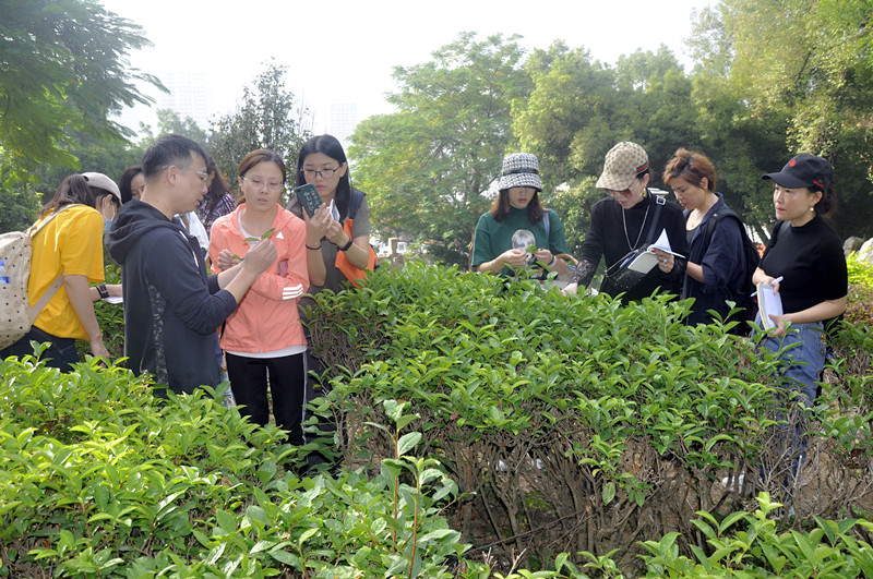 四平茶艺培训学员问天晟茶艺培训学校：天晟茶艺培训学校怎样招生？(图2)